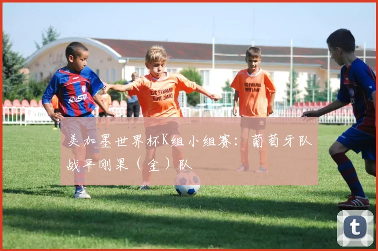 美加墨世界杯K组小组赛：葡萄牙队战平刚果（金）队