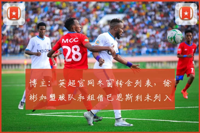 博主：英超官网冬窗转会列表，徐彬加盟狼队和租借巴恩斯利未列入